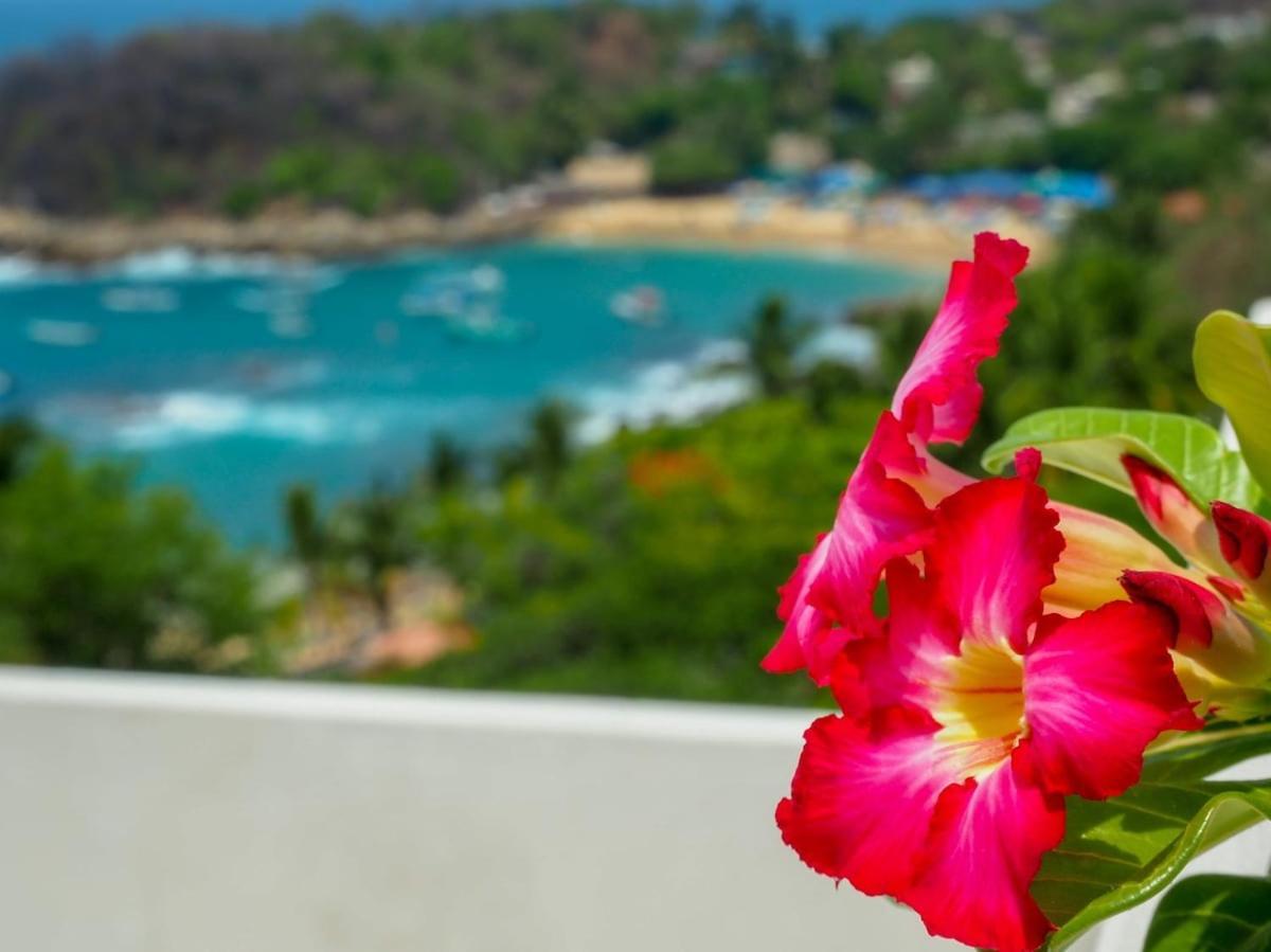 Hotel Casa Cascada - Adults Only Puerto Escondido  Esterno foto